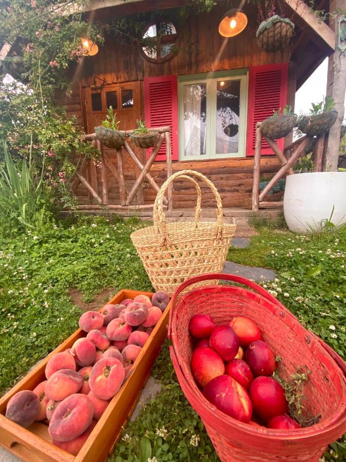 Meena Bagh Ratnari- An Apple Orchard Bungalow Bagi Экстерьер фото