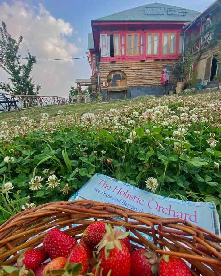 Meena Bagh Ratnari- An Apple Orchard Bungalow Bagi Экстерьер фото
